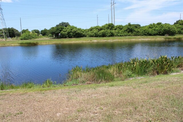 11919 Grand Kempston Dr, Gibsonton, FL 33534 - photo 22