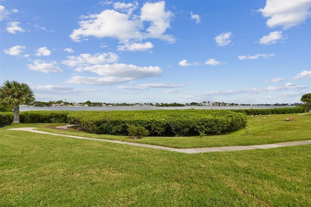 view of property's community featuring a lawn and a rural view