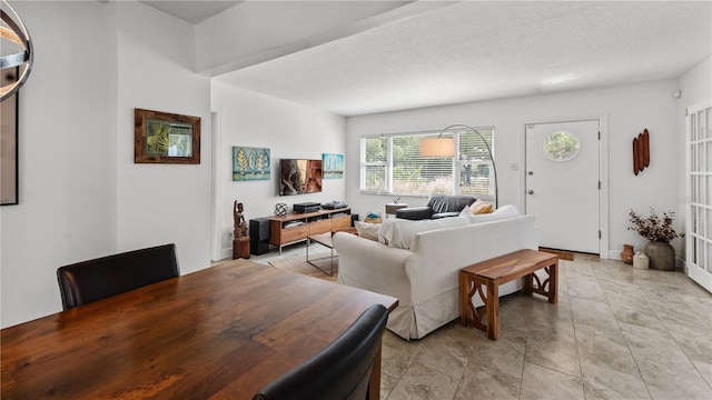 living room with a textured ceiling