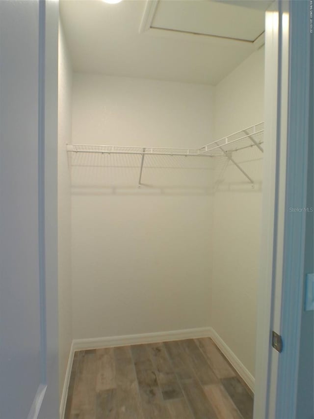 spacious closet featuring hardwood / wood-style flooring