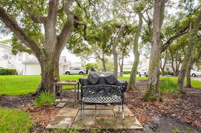 view of community with a yard