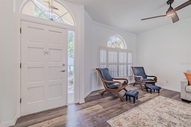 foyer entrance featuring plenty of natural light, ceiling fan, and dark hardwood / wood-style flooring