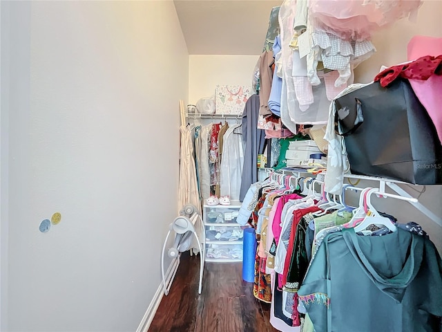 walk in closet with dark hardwood / wood-style floors