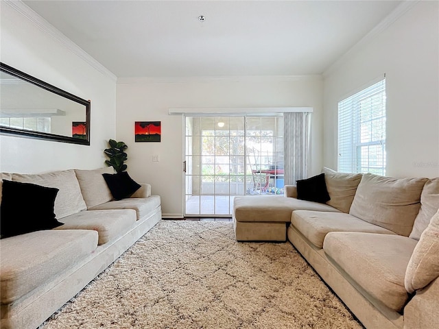 living room with ornamental molding