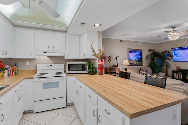 kitchen featuring electric range, under cabinet range hood, stainless steel microwave, open floor plan, and a peninsula