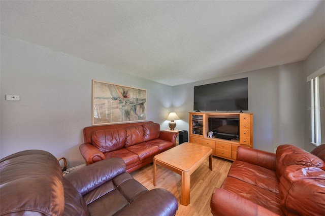 living room with light hardwood / wood-style floors and a textured ceiling