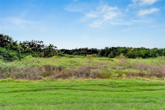 view of landscape featuring a rural view