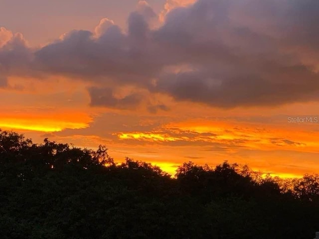 view of nature at dusk