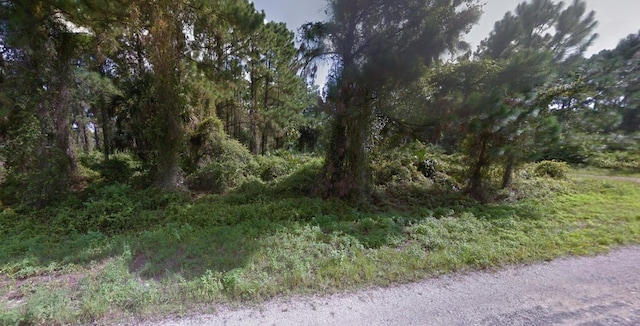 820 Tuba Ct, Lehigh Acres FL, 33974 land for sale