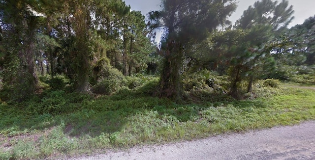 820 Tuba Ct, Lehigh Acres, FL 33974