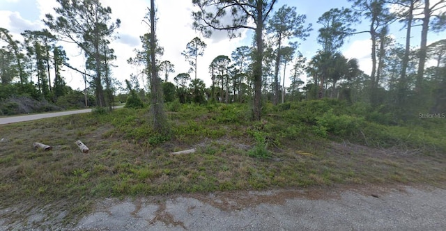 820 Tuba Ct, Lehigh Acres, FL 33974