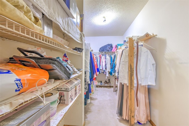 spacious closet with light carpet