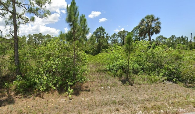 947 Chadwick Ave, Lehigh Acres FL, 33974 land for sale