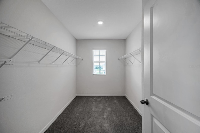 spacious closet with carpet flooring