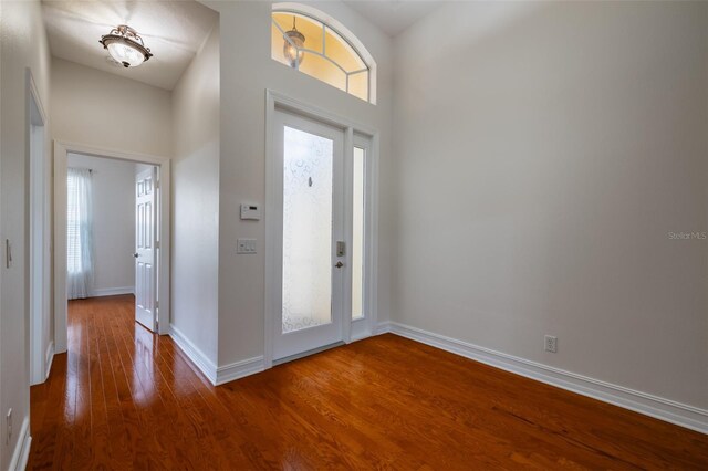 foyer with a high ceiling and hardwood / wood-style flooring