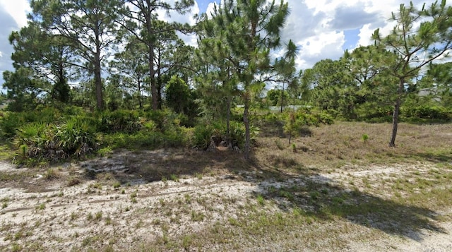 1036 Norfolk Ave S, Lehigh Acres FL, 33974 land for sale