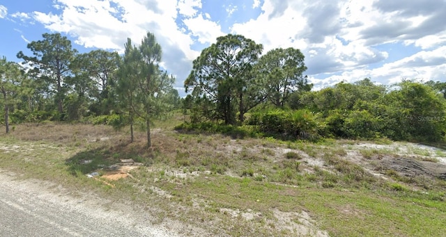 Listing photo 3 for 1036 Norfolk Ave S, Lehigh Acres FL 33974