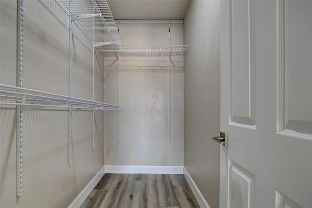 walk in closet with light wood-type flooring