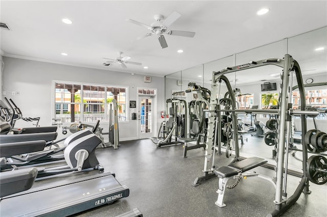 workout area with ceiling fan and crown molding