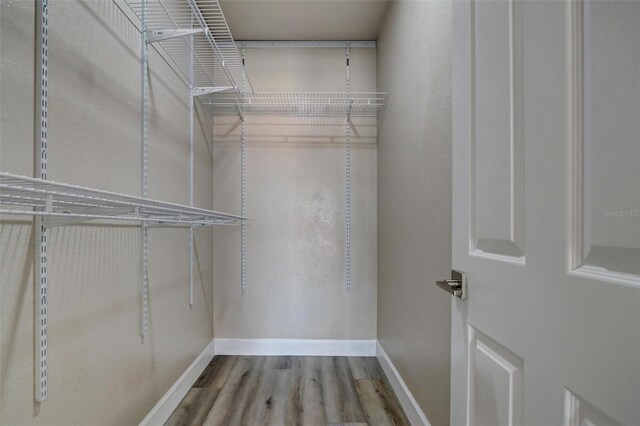 spacious closet featuring wood finished floors