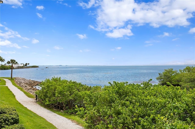 5000 Culbreath Key Way Unit 4-306, Tampa, FL 33611 - view of water feature