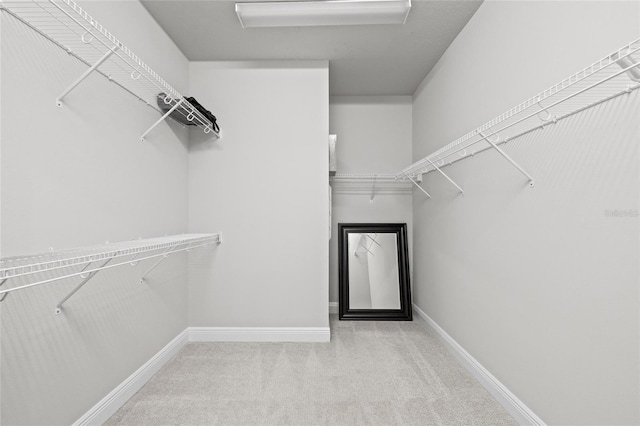 walk in closet featuring carpet flooring