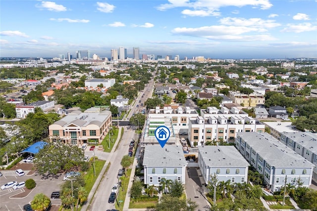 bird's eye view