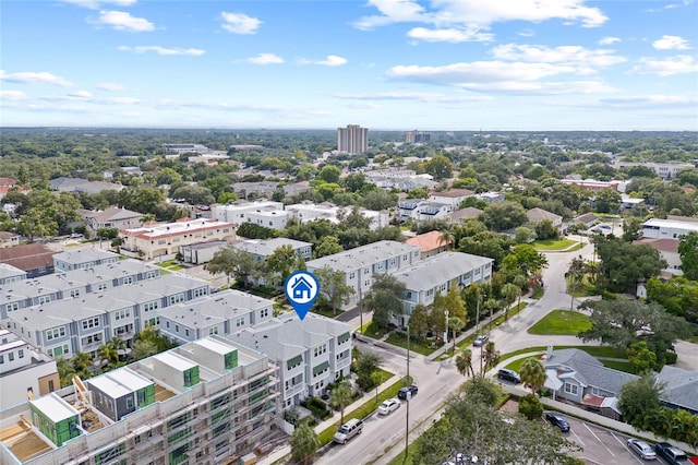bird's eye view