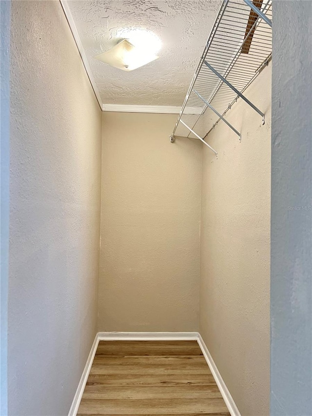 spacious closet with wood-type flooring