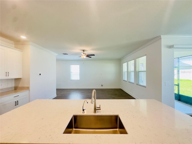 kitchen featuring a healthy amount of sunlight, sink, and ceiling fan