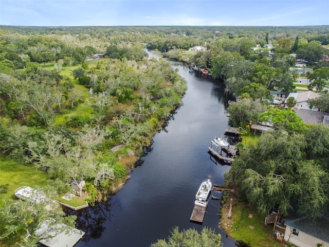 aerial view featuring a forest view