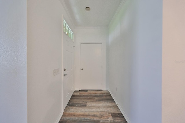 hall featuring ornamental molding and wood-type flooring