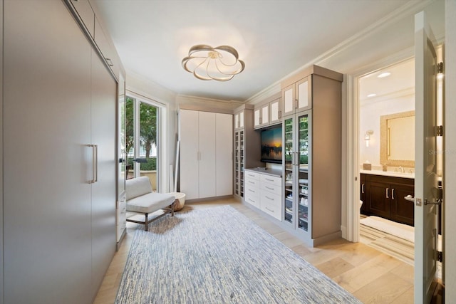 interior space with light wood-type flooring, sink, and ornamental molding