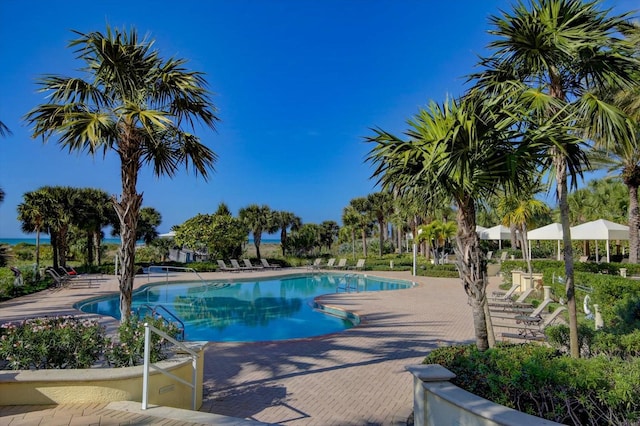 view of swimming pool with a patio