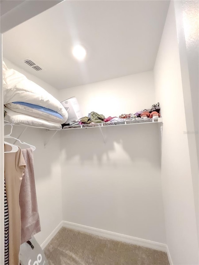 walk in closet with light carpet