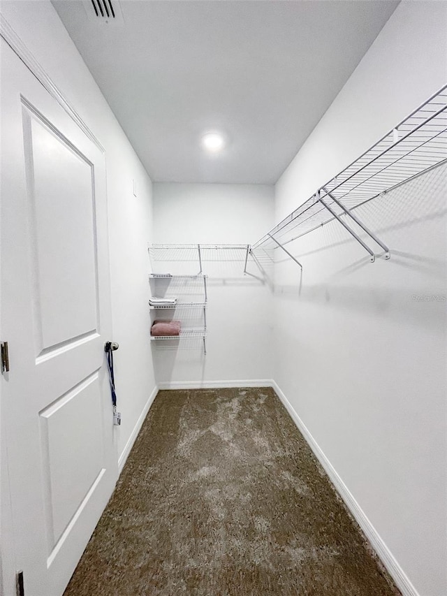 spacious closet featuring visible vents and carpet floors