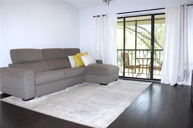 living room featuring dark hardwood / wood-style flooring