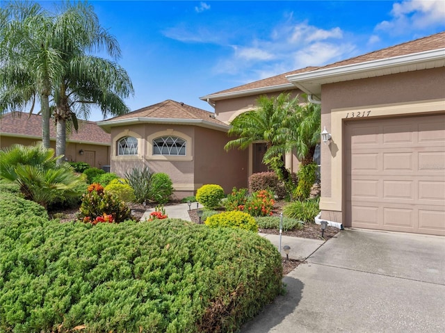 view of front of home featuring an attached garage, driveway, and stucco siding