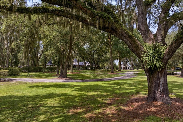 view of property's community featuring a yard