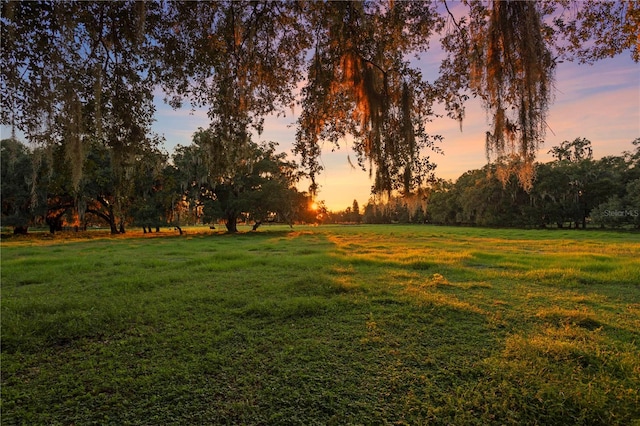 view of yard at dusk