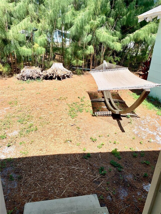 1478 Alternate Keene Rd, Largo, FL 33771 - view of yard