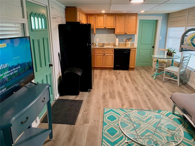 kitchen with black appliances, light hardwood / wood-style flooring, and sink