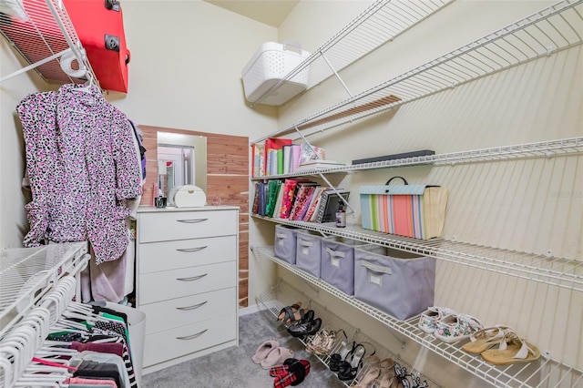 walk in closet with carpet flooring