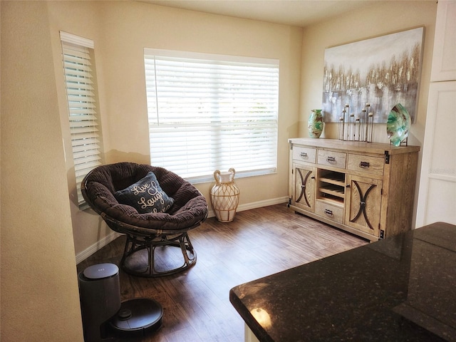 sitting room with hardwood / wood-style flooring