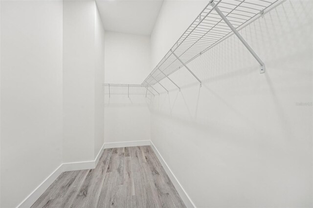 walk in closet featuring light wood-type flooring