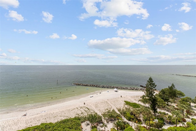 water view featuring a beach view