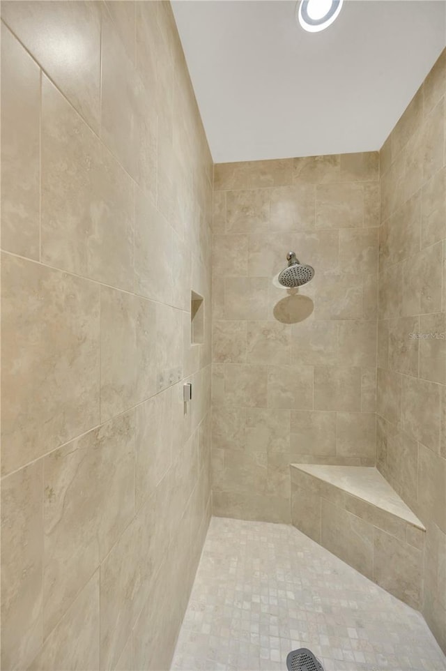 6419 Marbella Blvd, Apollo Beach, FL 33572 - full bathroom with tiled shower