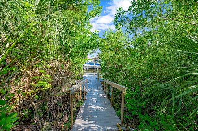 6419 Marbella Blvd, Apollo Beach, FL 33572 - surrounding community featuring a dock