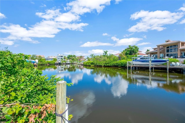 6419 Marbella Blvd, Apollo Beach, FL 33572 - water view with a boat dock