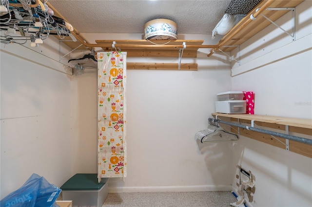 spacious closet featuring carpet